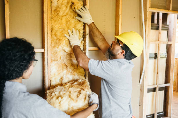 Professional Insulation Contractor in Gresham Park, GA