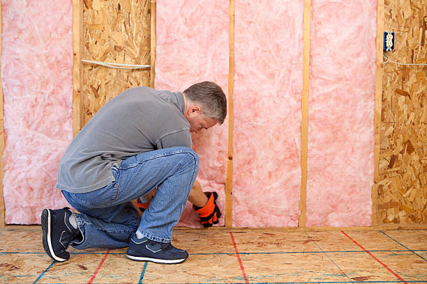 Best Insulation Removal Services  in Gresham Park, GA